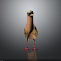 Colorful Bird with Pink Body Orange Black Wings Red Feet White Head on Black Background