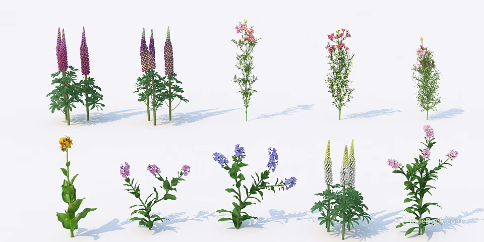 Colorful Garden Flowers And Plants With Purple Pink Blue Blooms For Outdoor Landscaping Decoration 3d model 