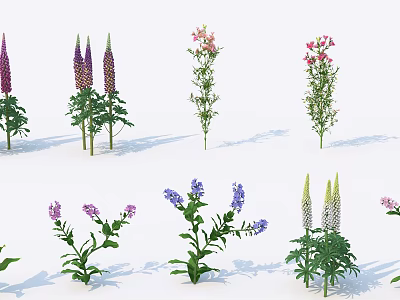 Colorful Garden Flowers And Plants With Purple Pink Blue Blooms For Outdoor Landscaping Decoration 3d model