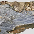 Natural Wood And Stone Landscape With Layered Rock Texture And Stream Pebbles
