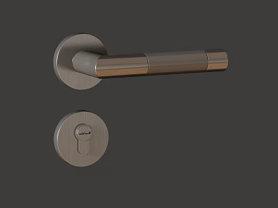 Modern Metallic Door Handle With Round Base And Keyhole Lock Design 3d model