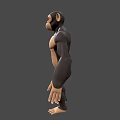 Cartoon Style Chimpanzee 3D Model With Standing Pose And Muscular Build