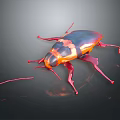 Shiny Red and Black Cockroach Crawling on Black Reflective Surface 3d model