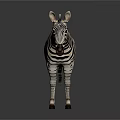Realistic Striped Zebra Standing On Dark Background With Reflection 3d model