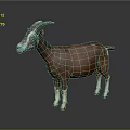 Brown Goat With Curved Horns Full Body Standing On Dark Background With Reflection 3d model