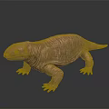 3D Reptile Character With Reddish Brown Wrinkled Textured Skin Standing On Smooth Surface