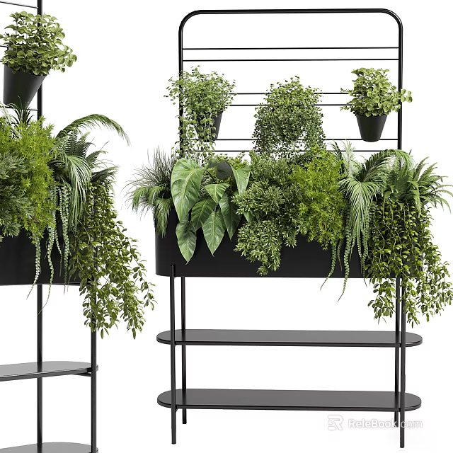 Various Green Potted Plants Displayed On Black Metal Shelves With Ferns And Trailing Leaves 3d model 