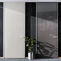 Modern Hinged Doors With Various Glass Styles And Indoor Plants