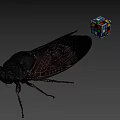 Detailed Cicada with Patterned Wings and Colorful Rubik's Cube on Gray Background 3d model