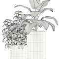 Bonsai Potted Plants with Various Green Foliage Geometric Patterned Black White Gold Pots Wooden Stands