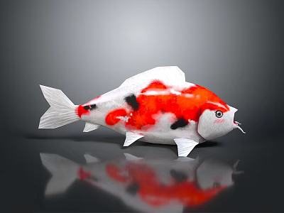 Aquatic Animal Koi Fish With Red White Black Color Pattern And Reflection On Dark Surface 3d model