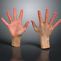 Realistic Open Hands Model Display With Detailed Fingers And Dark Background Reflection 3d model