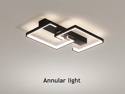 Modern Annular Ceiling Light Fixture with LED Lighting and Contemporary Design 3d model