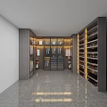 Modern Walk-in Wardrobe Interior Design With Hanging Clothes Drawers And Shoe Racks