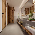 Modern Public Restroom Interior With Wooden Doors Sink Counter And Potted Plants