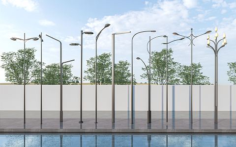 Modern Street Lamp Magnolia Lamp Landscape Lamp High Pole Lamp Cap Lighting Lamp Hua Lamp China Lamp 3d model