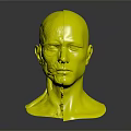 Innovative Medical Device Human Head Anatomical Model Split View with Muscle and Bone 3d model