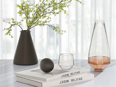 Elegant Decorative Ornament Set With Black Vase Green Branches Transparent Glassware And Stacked Books 3d model