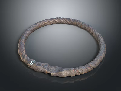 Brown Twisted Rope Design Decorative Ring With Silver Accent For Home Living Accessories 3d model