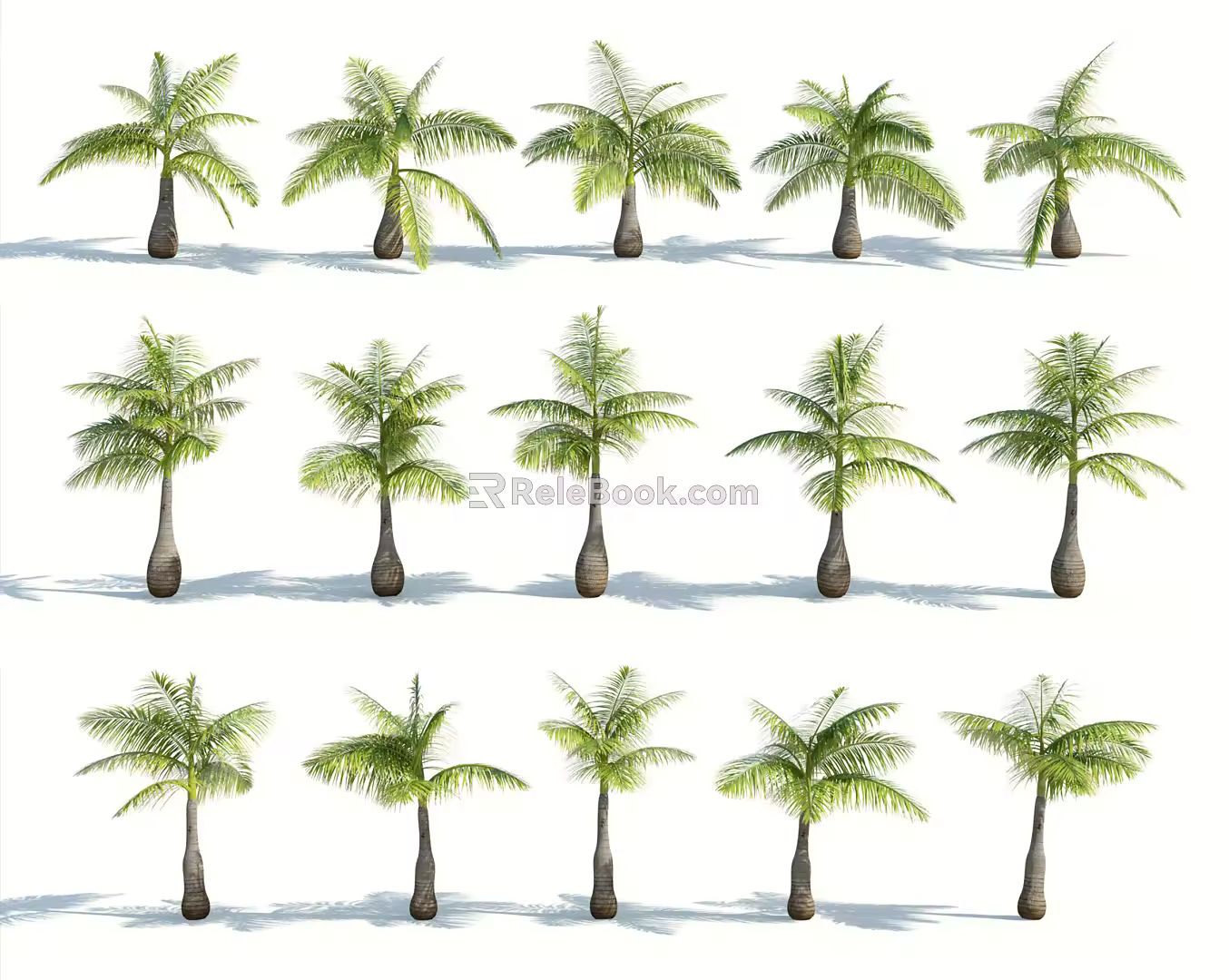 Modern Palm Tree 3d model