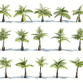 Modern Palm Tree 3d model