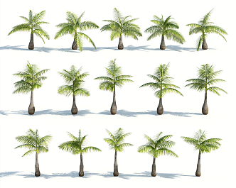 Modern Palm Tree 3d model