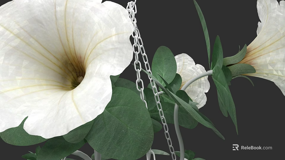 White Petunia Flowers With Green Leaves And Silver Chain In Garden View 3d model 