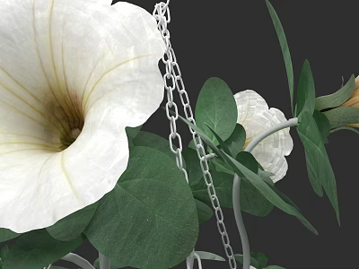 White Petunia Flowers With Green Leaves And Silver Chain In Garden View 3d model