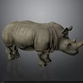 Rhinoceros 3D Model in Light Brown Color With Horns Standing on Neutral Gray Background