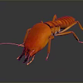 Detailed Red Cockroach With Long Antennae On Dark Reflective Surface 3d model
