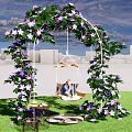 Garden Swing Playground Equipment with Green Ivy Purple Flowers in City Grass for Child Fun