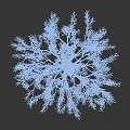 Snow Covered Deciduous Tree With Snowy Branches And Trunk Against Gray Winter Background Scene
