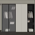 Modern Wardrobe Design With Glass Doors White And Dark Panels Hanging And Folded Clothes