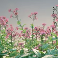 Vibrant Pink Flowers With Green Leaves In Lush Natural Garden Growth