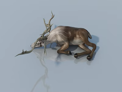 Realistic 3D Deer Model Lying On Light Background With Antlers 3d model