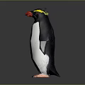 Cute Penguin Character With Yellow Eyebrows Red Beak And Pink Feet