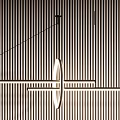 Modern Geometric Black and White Chandelier With Curved Lines And Circular Rings For Interior Decor