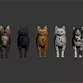 Orange White Black Gray and Brown Cats Standing on Dark Reflective Surface 3d model
