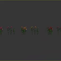 Colorful Flowering Plants With Green Leaves Arranged Neatly On Gray Background With Reflections
