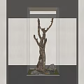 Natural Wood Branches With Rocks And Green Moss In Glass Display Case With Ceiling Light