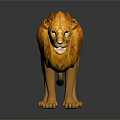 Lion 3D Model With Orange Fur Mane And Standing Pose On Gray Background 3d model