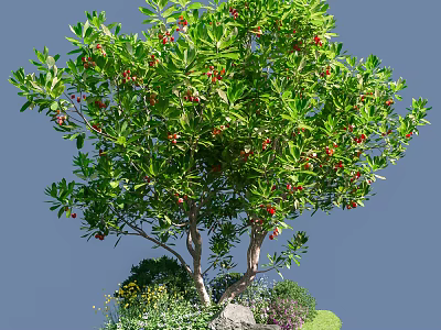 Lush Tree With Green Leaves Red Fruits And Surrounding Flowers Grass Stone 3d model