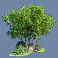 Lush Tree With Green Leaves Red Fruits And Surrounding Flowers Grass Stone