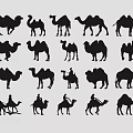 Various Reptile Silhouettes Showing Different Poses And Natural Movement Styles