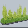 Lush Green Shrubs With Various Heights Arranged In Curved Stone Border