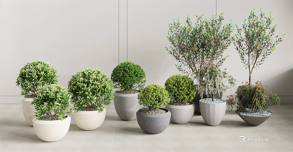 Various Bonsai Plants in Stylish Ceramic Pots for Indoor Home Decor 3d model 