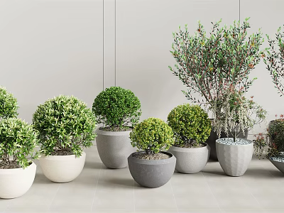 Various Bonsai Plants in Stylish Ceramic Pots for Indoor Home Decor 3d model