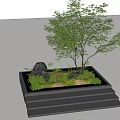 Tranquil Courtyard Garden With Black Rocks Tree Ferns Grass Black Pebbles And Stone Steps