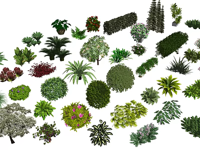 Various Types of Shrubs 3D Models Collection for Landscape Design 3d model