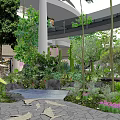 Garden Landscape Design With Lush Plants Stone Pathway Small Pond And Colorful Flowers